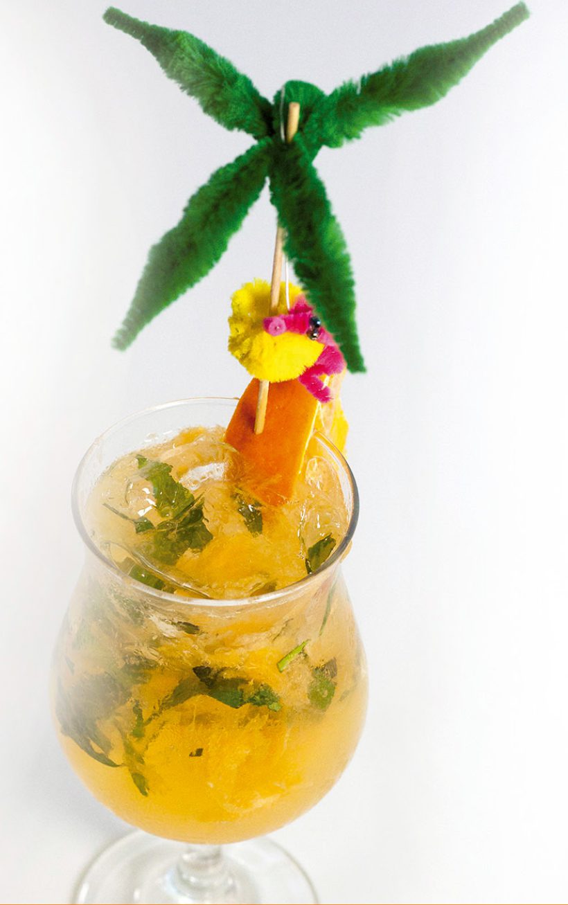 Recipe-of-the-Month-Chefs-Cocktail-Howler-Magazine-Costa-Rica