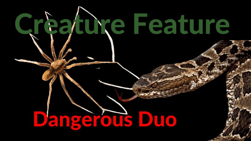 Creature Feature black