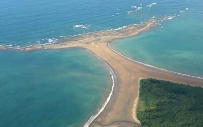 Cool Adventure – A Whale’s Tale: Whale Watching in Costa Rica