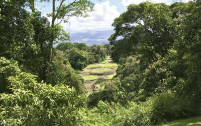 Guayabo: History of a Mystery