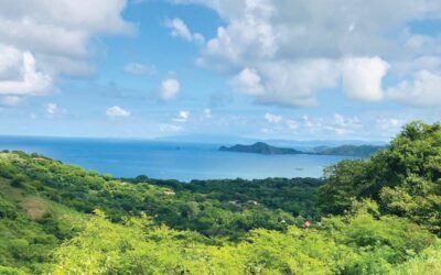 Paradise Found! – Every Day Feels Like a Vacation – Tres Amigos