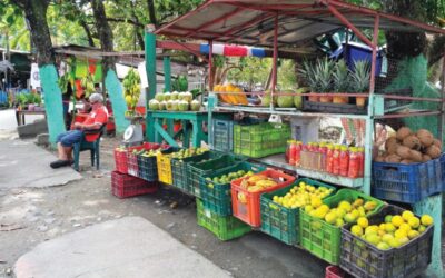 Visiting the Fruit and Vegetable Stand