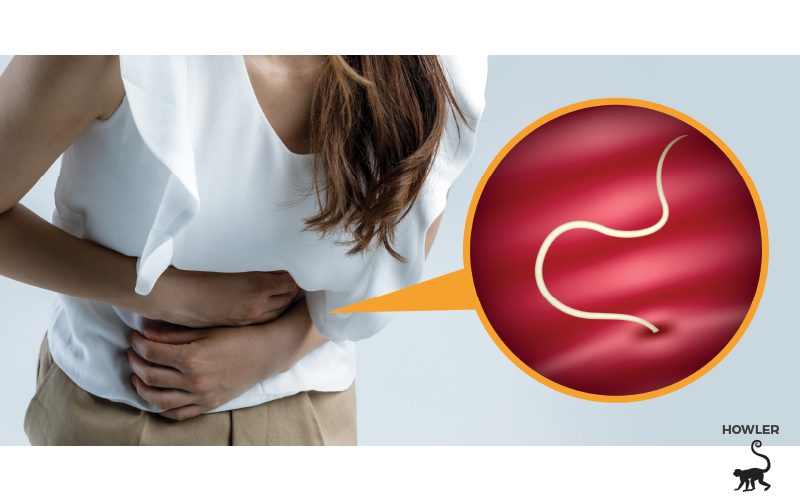 intestinal-parasites-costa-rica intestinal-parasites-costa-rica