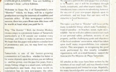 Guest Editorial – What A Ride