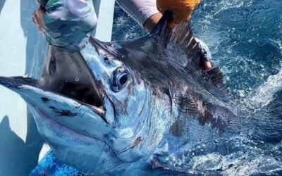 Sportsfishing