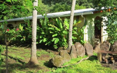 Unveiling a Gardener’s Paradise near Playa Grande, Costa Rica: Your Haven of Tranquility and Abundance
