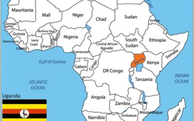 Out of Africa