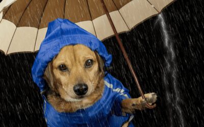 Raining October