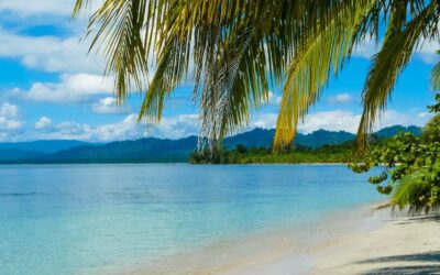 Captivating Cahuita