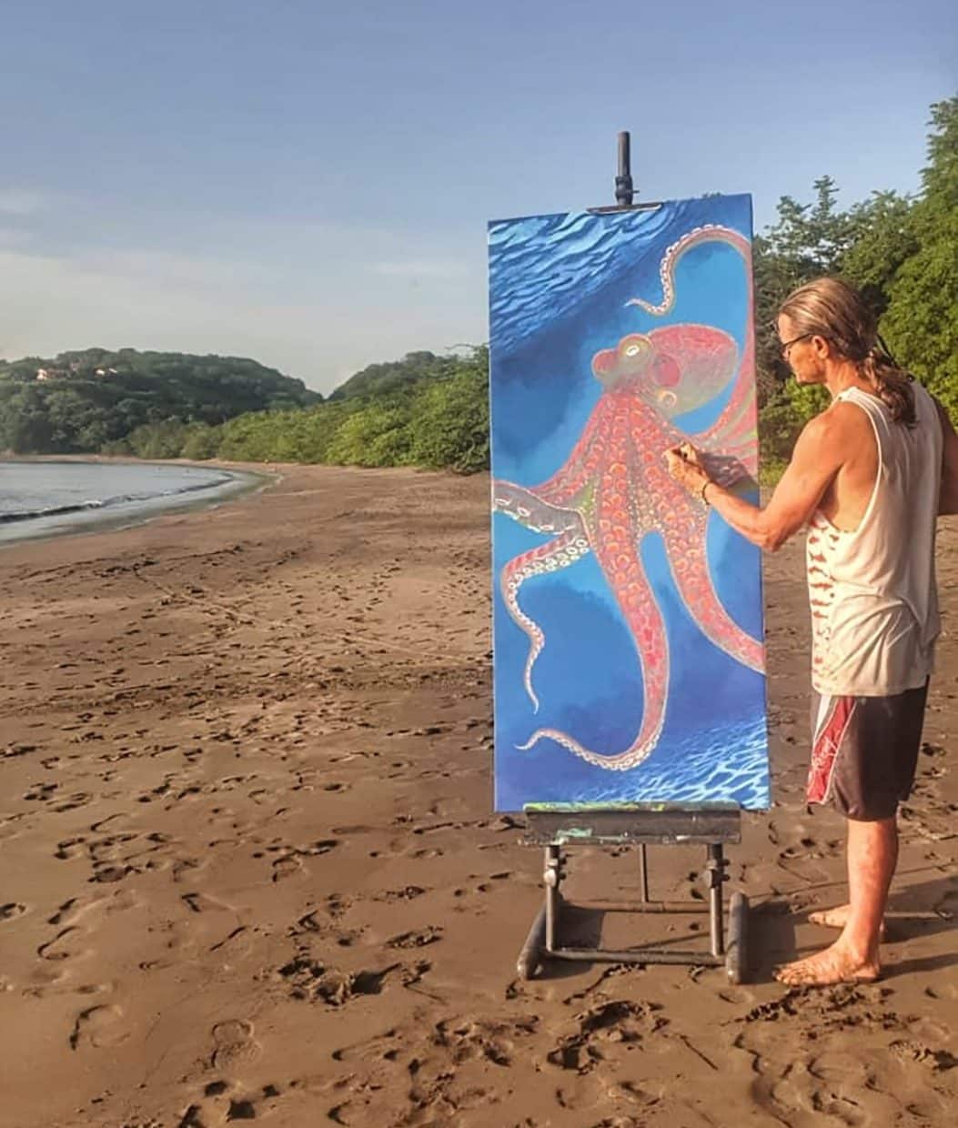 Pulpo Seguro Beach Hiller