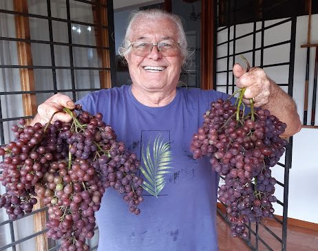 ULTIMA VENDIMIA LACIGRAL 11 DE JULIO 7
