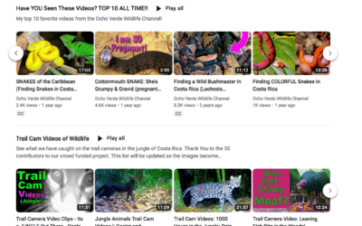 Tune in to the Ocho Verde Wildlife Channel