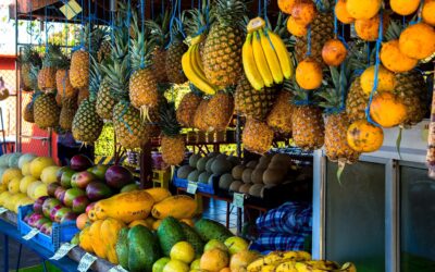 Nature’s Abundance