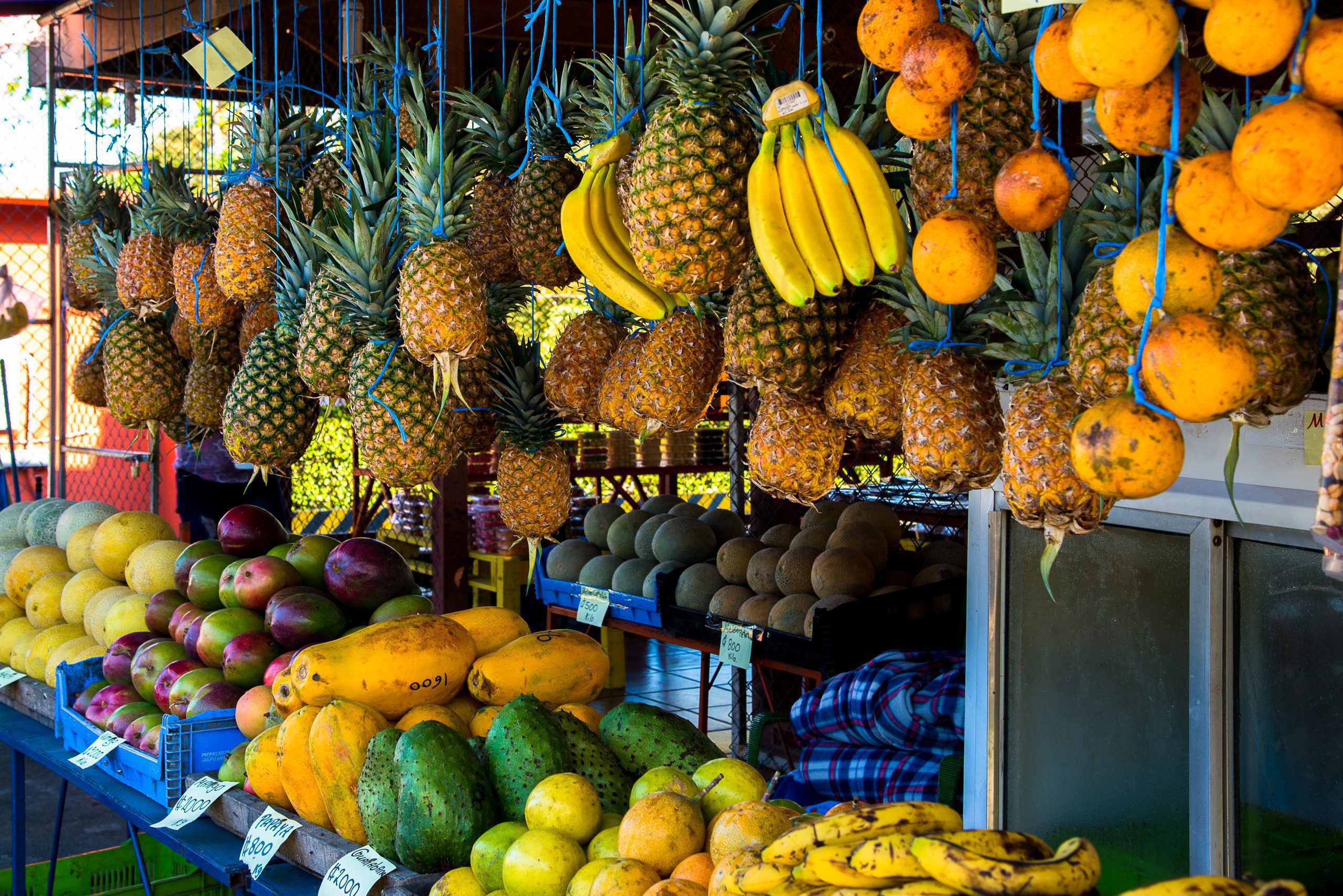 shutterstock_565596628