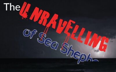 The Unravelling of Sea Shepherd