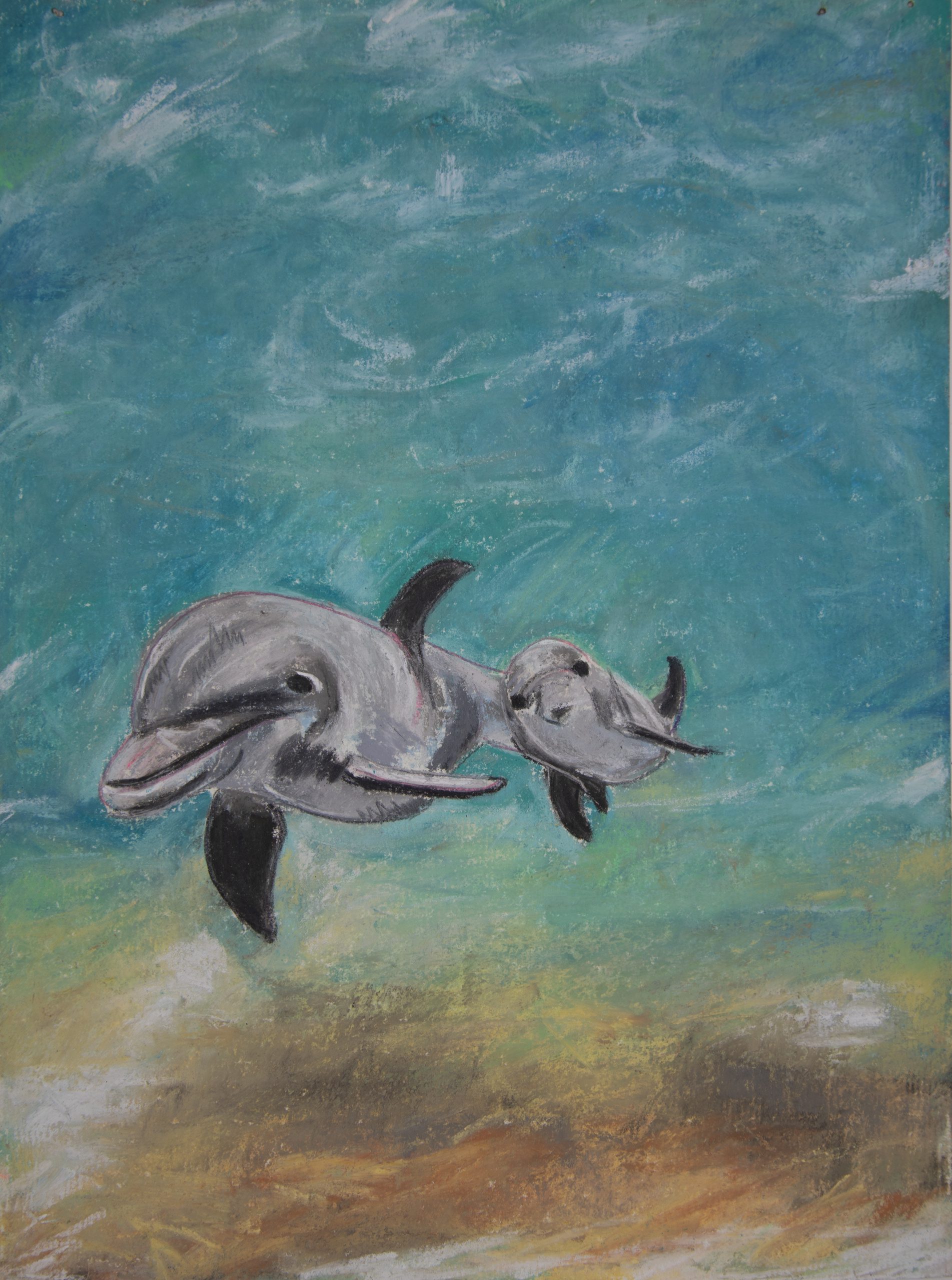 Dolphins _Hector & Henry_