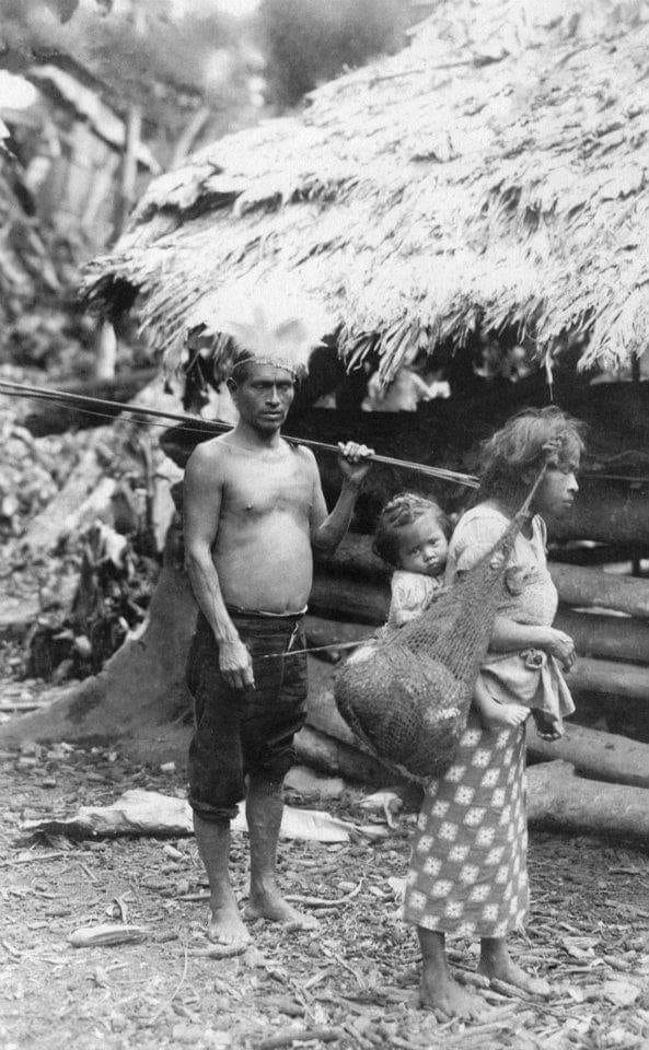 Guillermo Gabb Lyon, el hijo William More Gabb. Talamanca.1915.