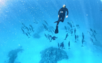 Aquatic Apes