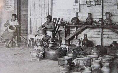 Indigenous Cultures in Focus