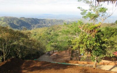 Finding our Shangri-La