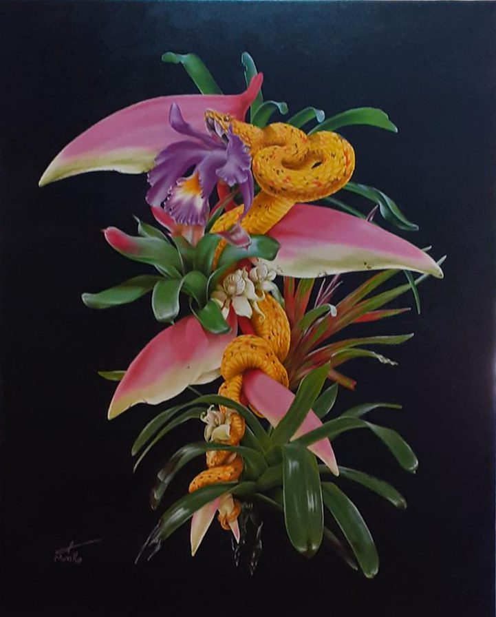 HG_Madreflora- Eyelash Viper with Flowers_24x30