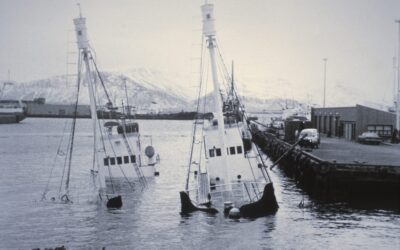Sailing Into Harm’s Way