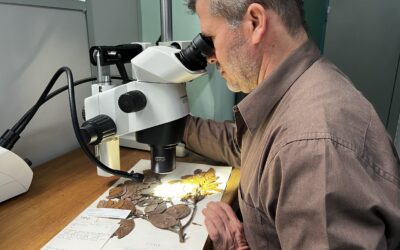 Costa Rican Researchers Identify Two New Plant Species