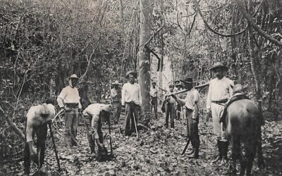 Snapshots of History