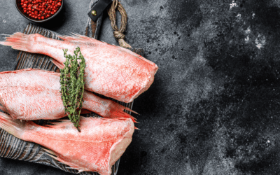 Cooking with Red Snapper