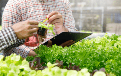 Regenerative Agriculture