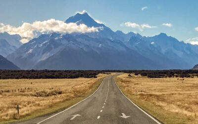 Around the World in 40 Days