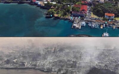 The Sad But Predictable Demise of Lahaina