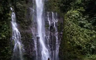 Enchantment of Waterfalls: Why Do They Amaze Us?