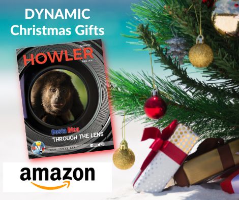 DYNAMIC Christmas Gifts