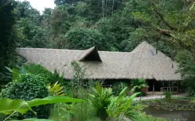 Why Palmex For Your Roof? The Need For a Good Roof in Costa Rica