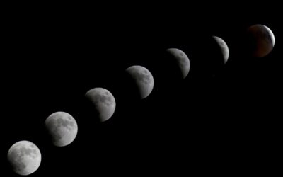 Surfing with the Moon: Understanding Tides and Waves