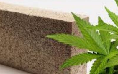 Revolutionizing Construction: The Untapped Potential of Hemp Bricks