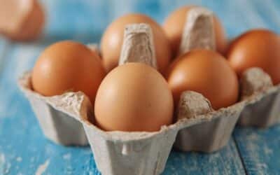 Egg Industry in Costa Rica: A Success Story