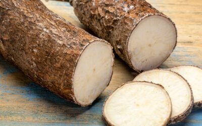 Yuca : The Superfood Powerhouse You Didn’t Know You Needed