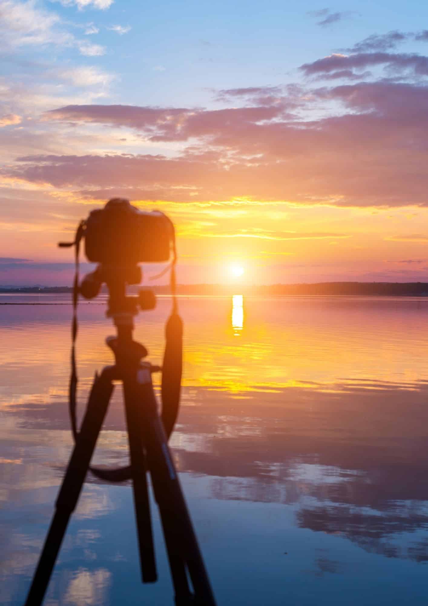 sunet photos