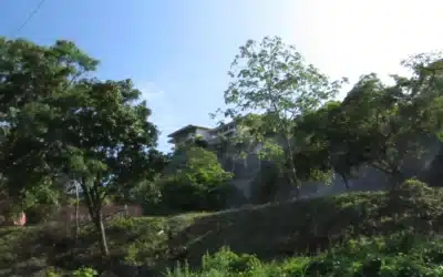 Development Opportunity in the Playa Grande Area