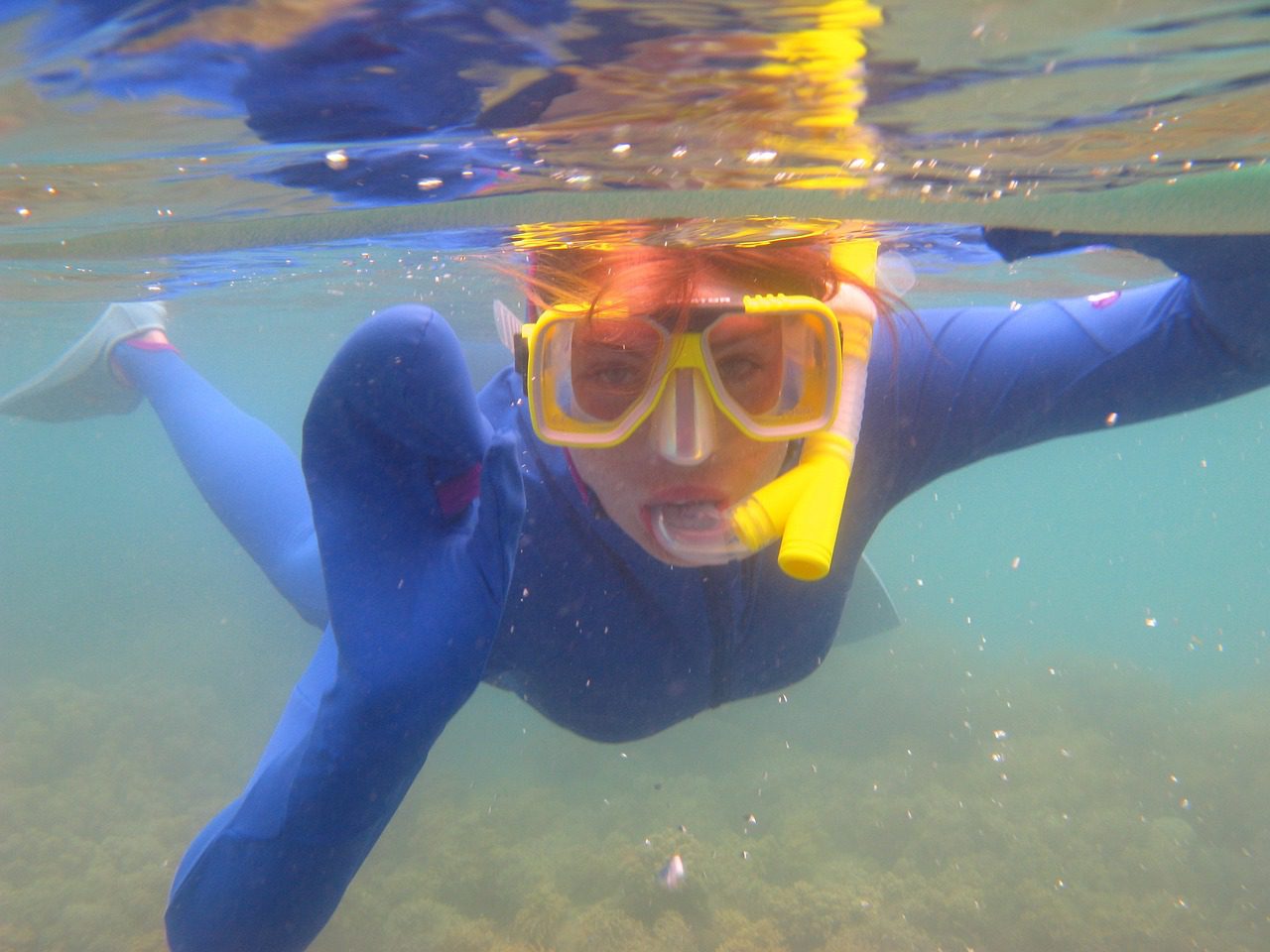diver-179434_1280
