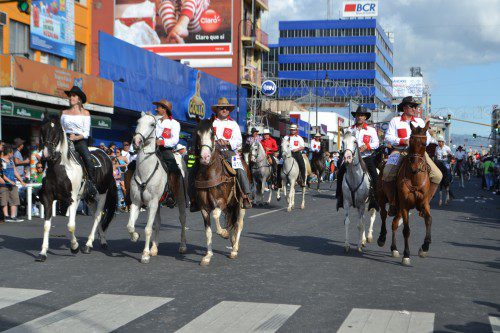 horse parade