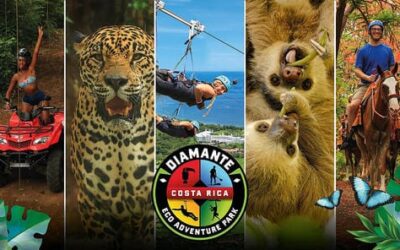 Costa Rica’s Top Attractions: Enjoy Discounts at Diamante and Vandara with Code HOWLER
