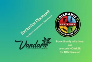 Discounts