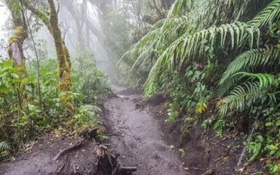 Costa Rica’s Volcanoes Unveiled: 2023 Updates on Elevations, Activities, and Hiking Trails