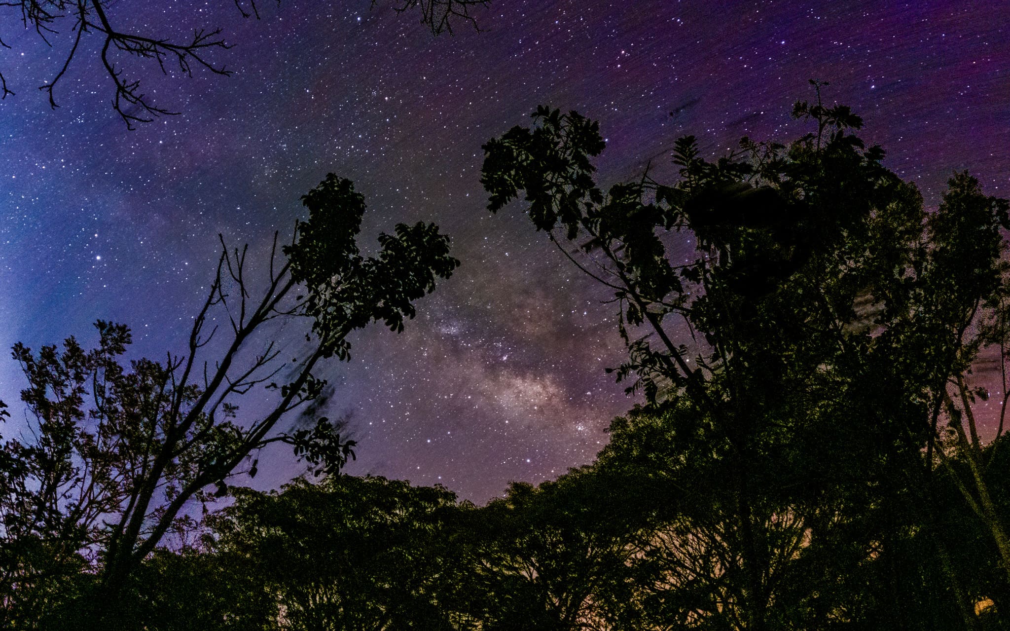 astro woods