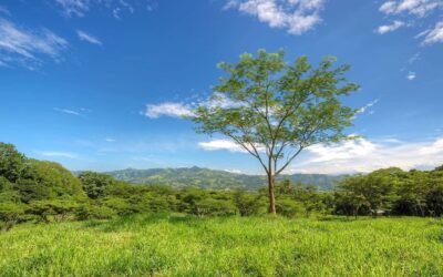YOUR COTTAGE FARM WITHIN A LARGE GATED FARM