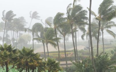 The Onshore Winds and Their Seasonal Influence on Surfing in Costa Rica