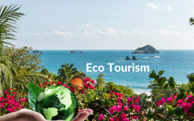 Travel with Purpose: The Rise of Eco-Friendly and Sustainable Hospitality